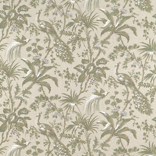 Acquire Anna French Fabric Pattern Af57832 Pattern Name Peacock Toile From The Collection Bristol Fabric Book. 
