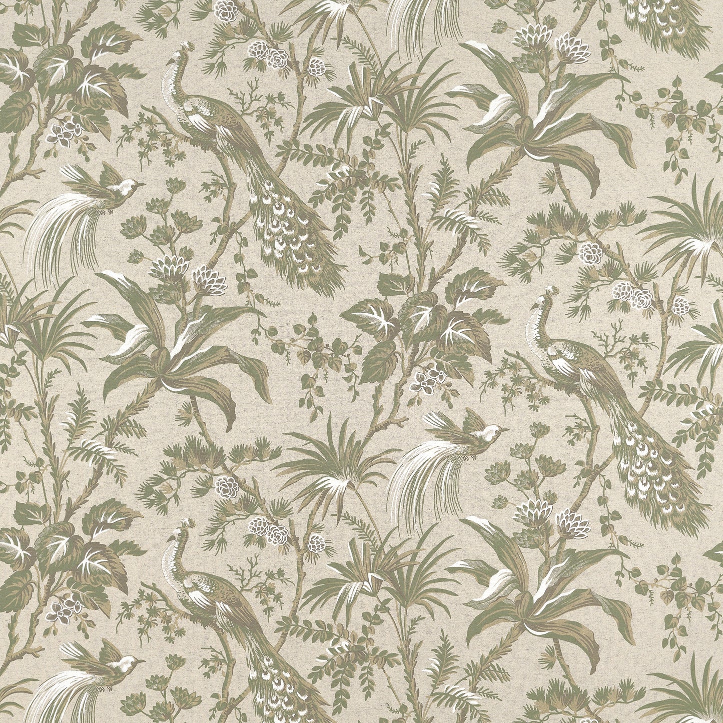 Acquire Anna French Fabric Pattern Af57832 Pattern Name Peacock Toile From The Collection Bristol Fabric Book. 