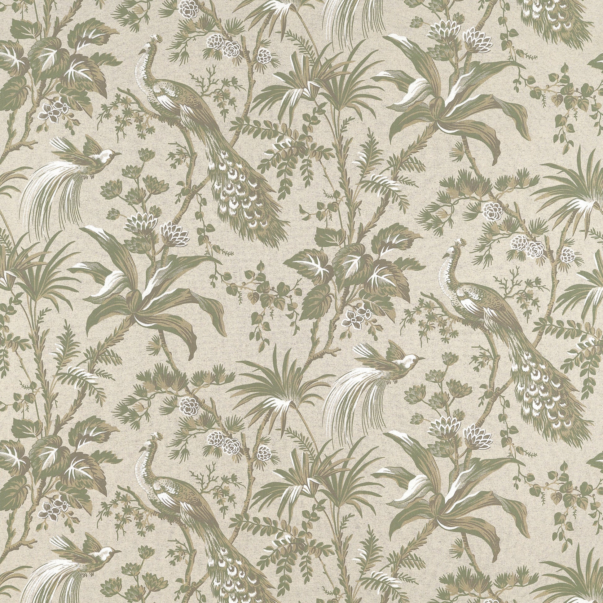 Acquire Anna French Fabric Pattern Af57832 Pattern Name Peacock Toile From The Collection Bristol Fabric Book. 