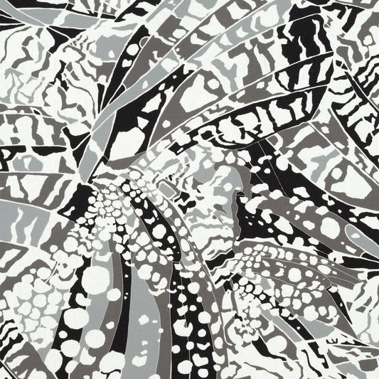 Purchase  Ann French Fabric Pattern number AF9857  pattern name  Puccini