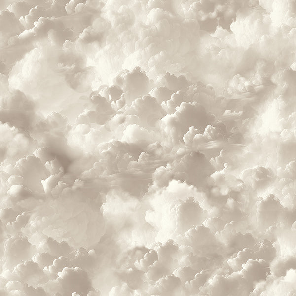 Purchase AH100189AH Brewster Wallpaper, Merryweather Neutral Cloudy Skies - Arthouse