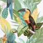 Purchase AH296803 Brewster Wallpaper, Trudie Multicolor Toucan Macaw - Arthouse