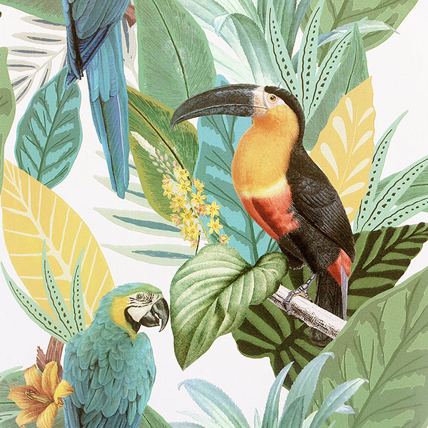 Purchase AH296803 Brewster Wallpaper, Trudie Multicolor Toucan Macaw - Arthouse
