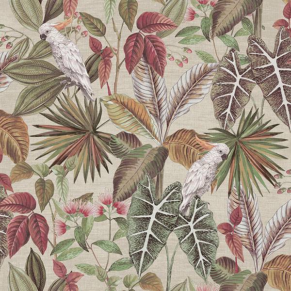 Purchase AH296908 Brewster Wallpaper, Lorraine Neutral Tropical - Arthouse