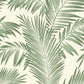 Purchase AH694800 Brewster Wallpaper, Cecil Green Tropical - Arthouse