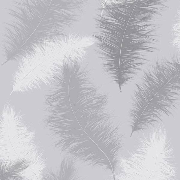 Purchase AH901705 Brewster Wallpaper, Sussurro Grey Feathers - Arthouse
