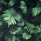 Purchase AH907601 Brewster Wallpaper, Winona Green Ferns - Arthouse