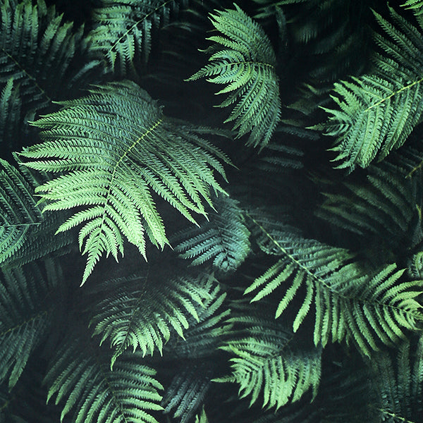 Purchase AH907601 Brewster Wallpaper, Winona Green Ferns - Arthouse