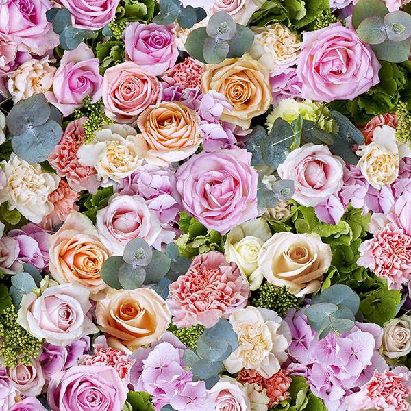 Purchase AH908006 Brewster Wallpaper, Deirdre Pink Floral - Arthouse