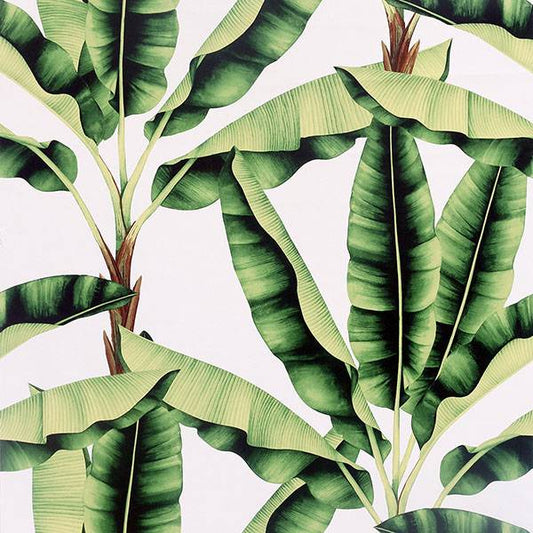 Purchase AH909604 Brewster Wallpaper, Musa Green Palm Tree - Arthouse