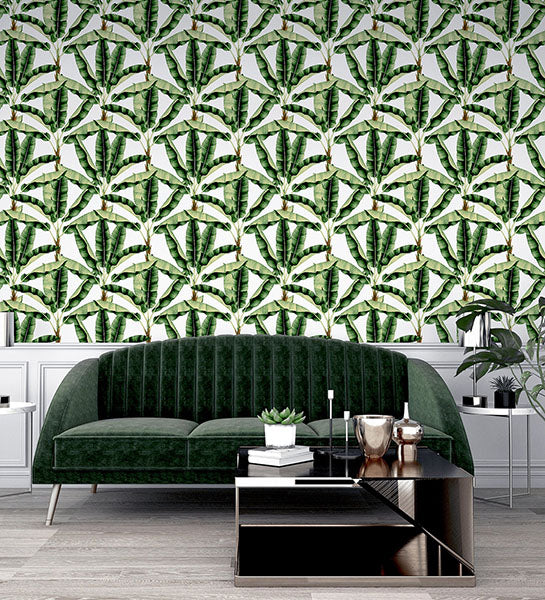 Purchase AH909604 Brewster Wallpaper, Musa Green Palm Tree - Arthouse1