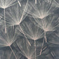 Purchase AH920807 Brewster Wallpaper, Kazue Metallic Dandelion - Arthouse