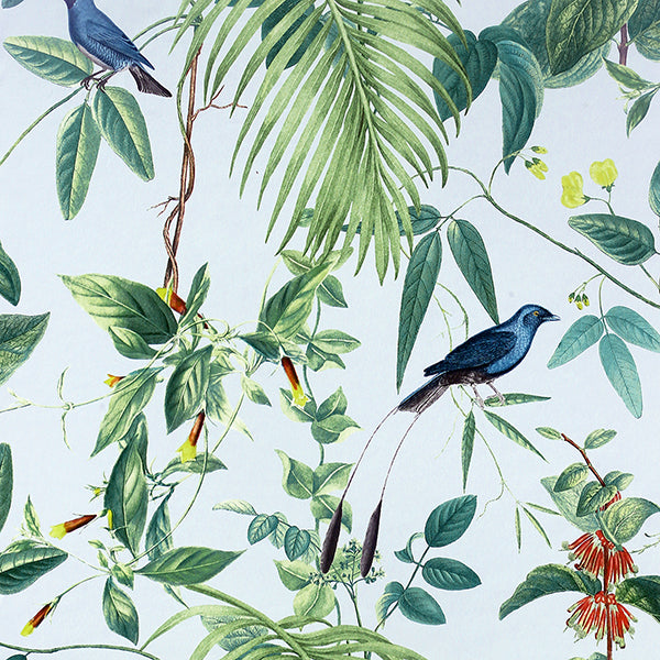 Purchase AH921609 Brewster Wallpaper, Nanette Light Blue Tropical Garden - Arthouse
