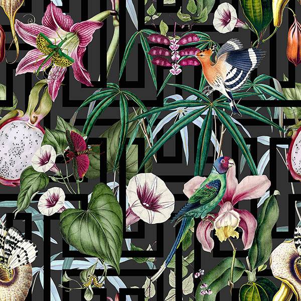 Purchase AH922805 Brewster Wallpaper, Lucretia Multicolor Tropical - Arthouse