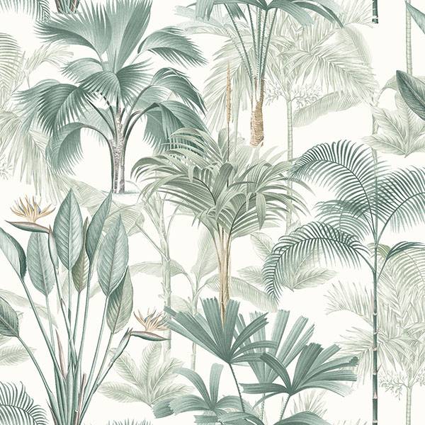 Purchase AH922908 Brewster Wallpaper, Freda Green Palm Trees - Arthouse