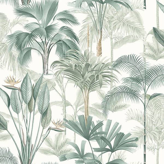 Purchase AH922908 Brewster Wallpaper, Freda Green Palm Trees - Arthouse