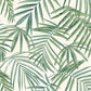 Purchase AH923909 Brewster Wallpaper, Juan Green Palm Leaves - Arthouse