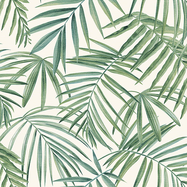 Purchase AH923909 Brewster Wallpaper, Juan Green Palm Leaves - Arthouse