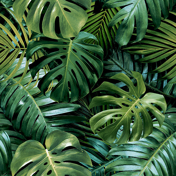 Purchase AH924108 Brewster Wallpaper, Harlynn Green Monstera - Arthouse