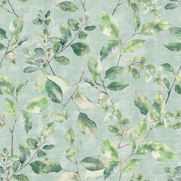Purchase AH925501 Brewster Wallpaper, Lucene Green Spring Vines - Arthouse