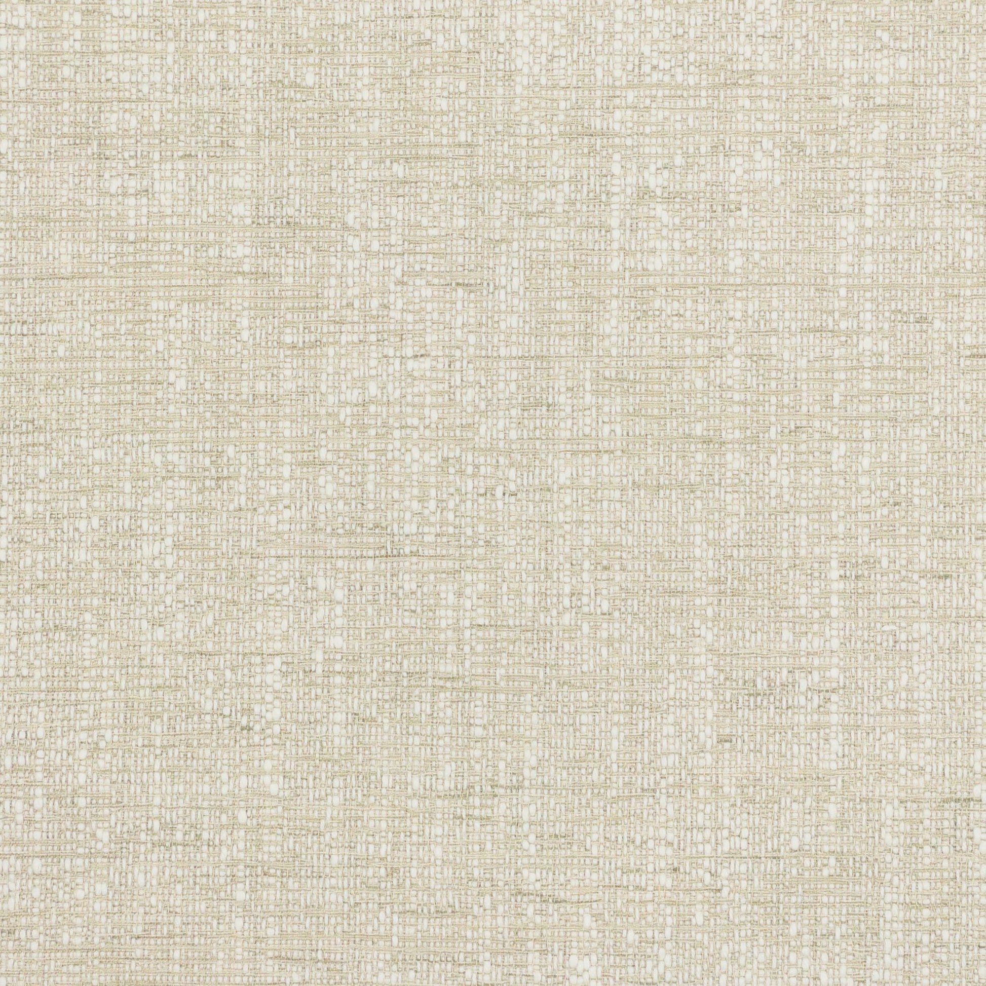 Purchase Stout Fabric Pattern# Alberto 3 Birch