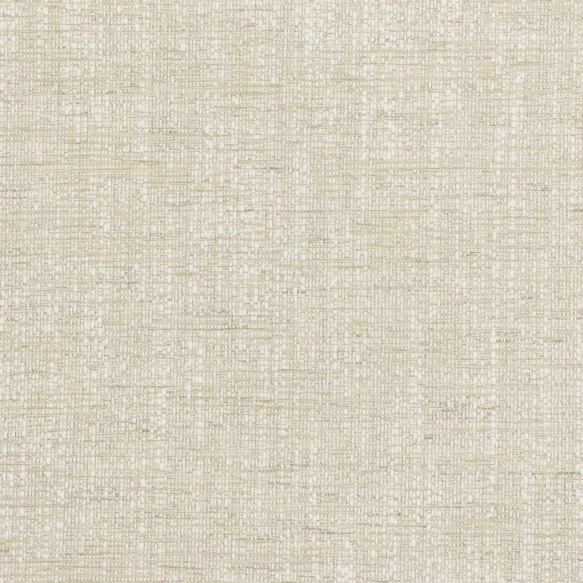 Purchase Stout Fabric Pattern# Alberto 3 Birch