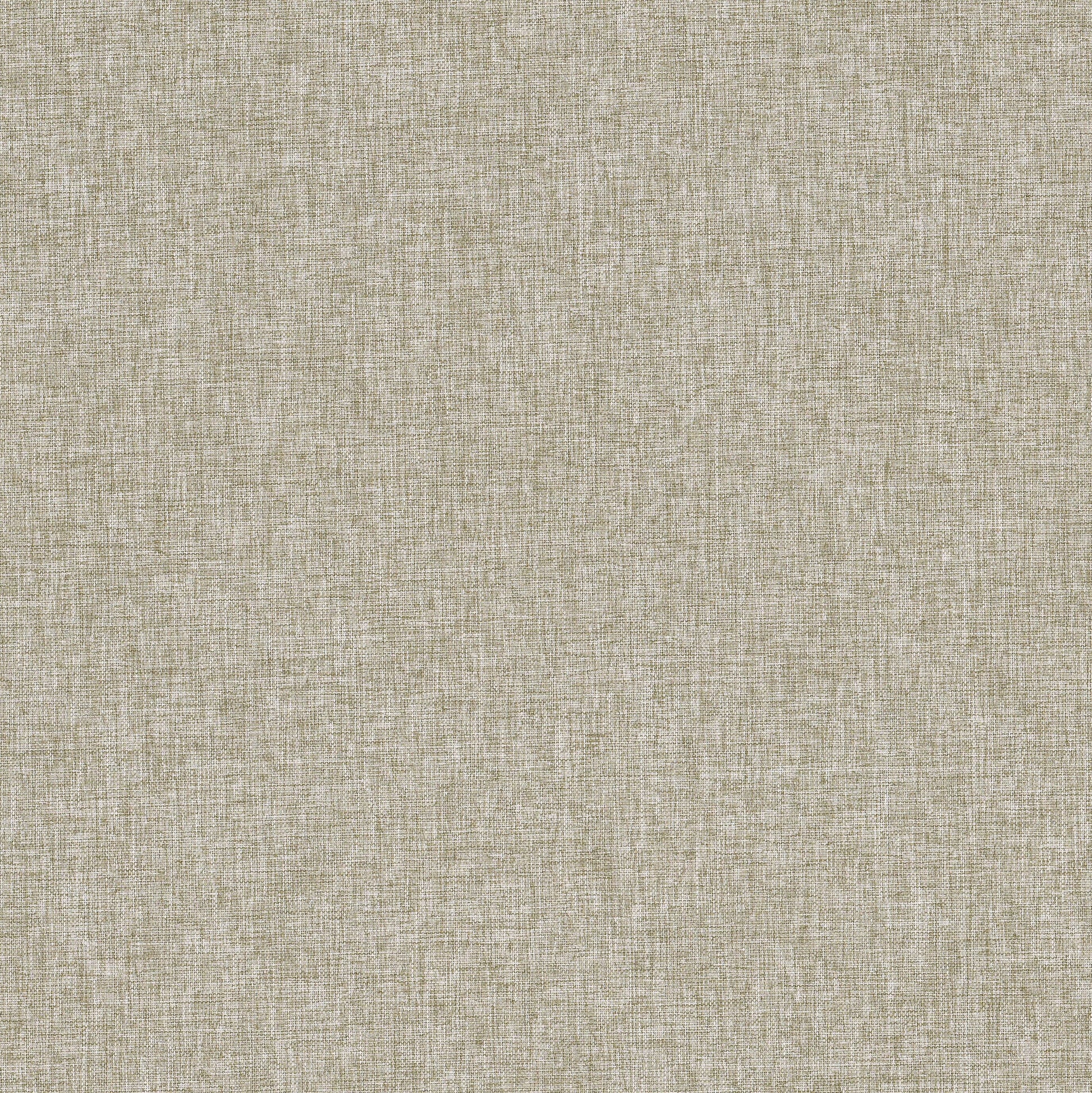 Purchase Stout Fabric Pattern# Alfie 3 Cashew