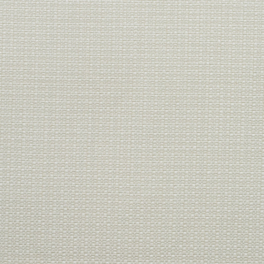 Purchase Am100390.1.0 Birch, Andrew Martin Woodland By Sophie Paterson - Kravet Couture Fabric