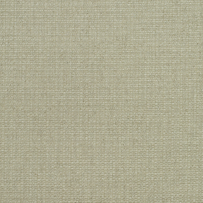 Purchase Am100390.106.0 Birch, Andrew Martin Woodland By Sophie Paterson - Kravet Couture Fabric