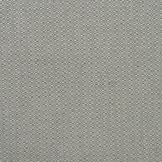Purchase Am100390.11.0 Birch, Andrew Martin Woodland By Sophie Paterson - Kravet Couture Fabric