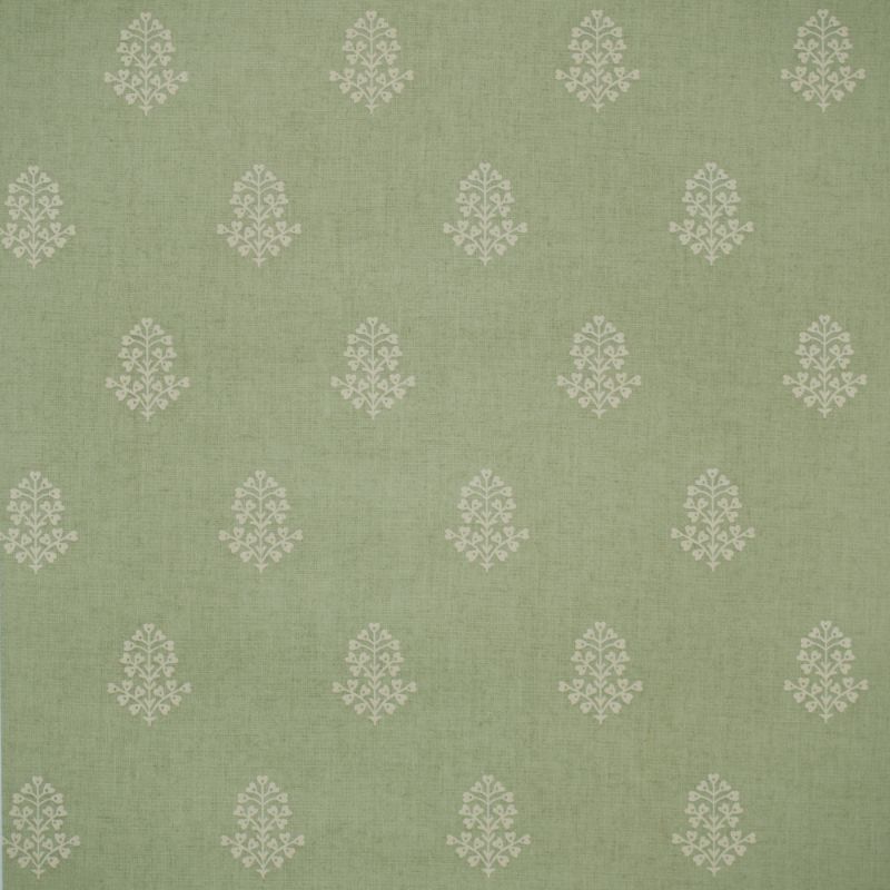 Purchase Amw10076.3.0 Cow Parsley, Green Medallion - Kravet Couture Wallpaper