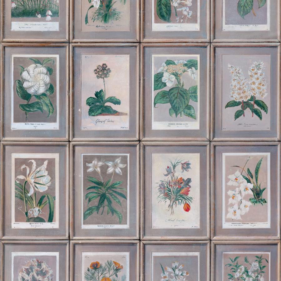 Purchase Amw10097-310 Floral, Slate - Kravet Couture Wallpaper - Amw10097.310.0