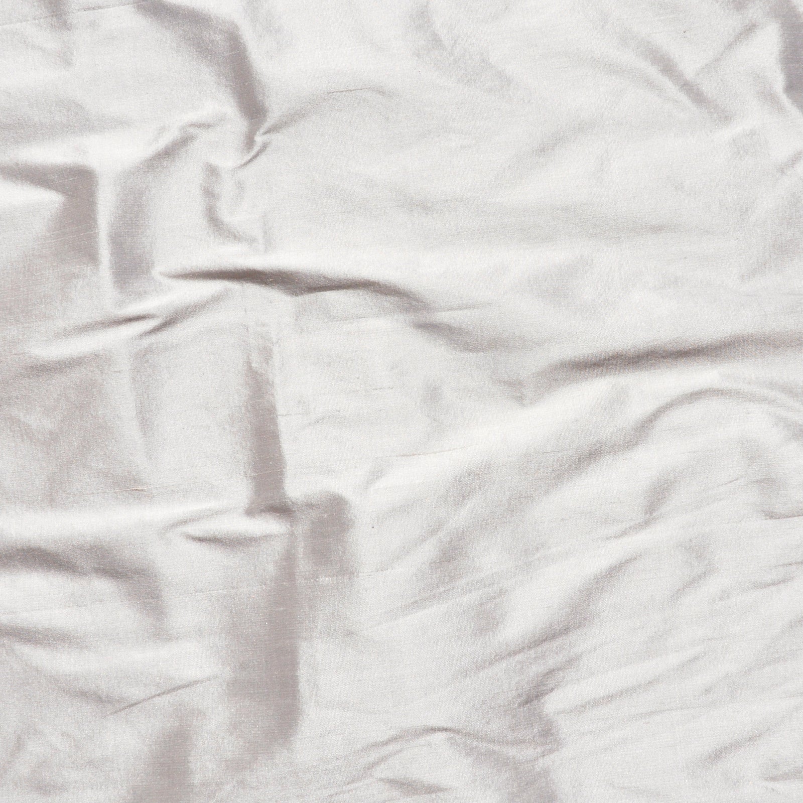 Purchase Maxwell Fabric - Anisha, # 104 Oyster
