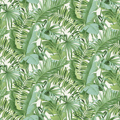 Purchase A-Street  Wallpaper ASTM5047, Tropical Palm Leaf Green