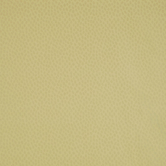 Purchase  Ann French Wallpaper Pattern number AT1413 pattern name  Spot On