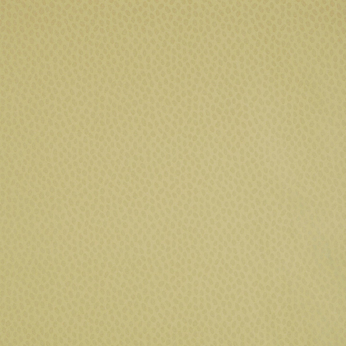 Purchase  Ann French Wallpaper Pattern number AT1413 pattern name  Spot On