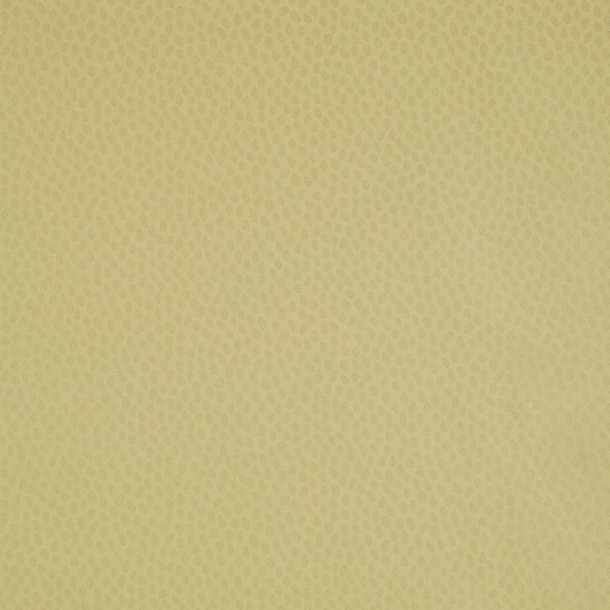 Purchase  Ann French Wallpaper Pattern number AT1413 pattern name  Spot On