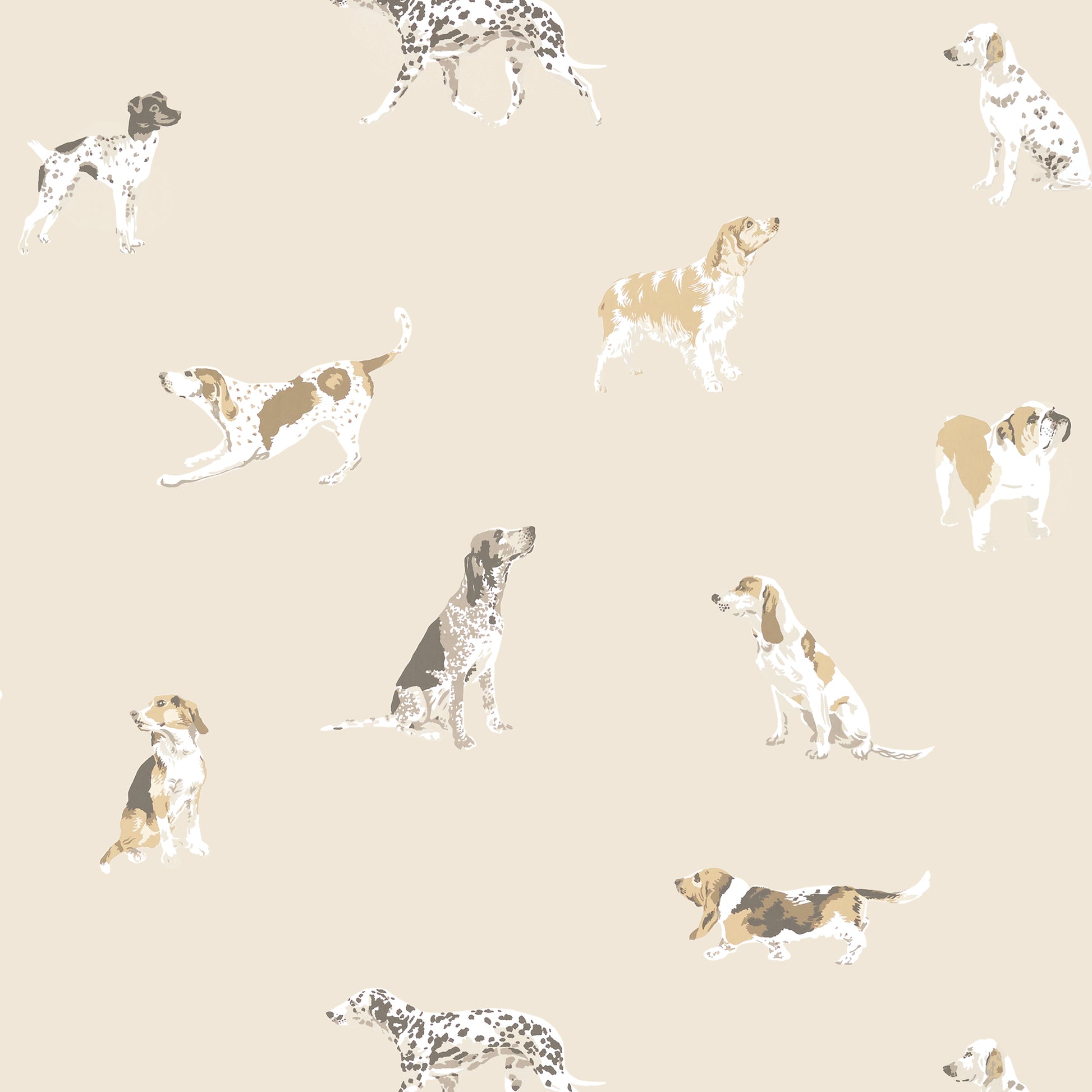 Purchase  Ann French Wallpaper Pattern AT24601 pattern name  Buddy