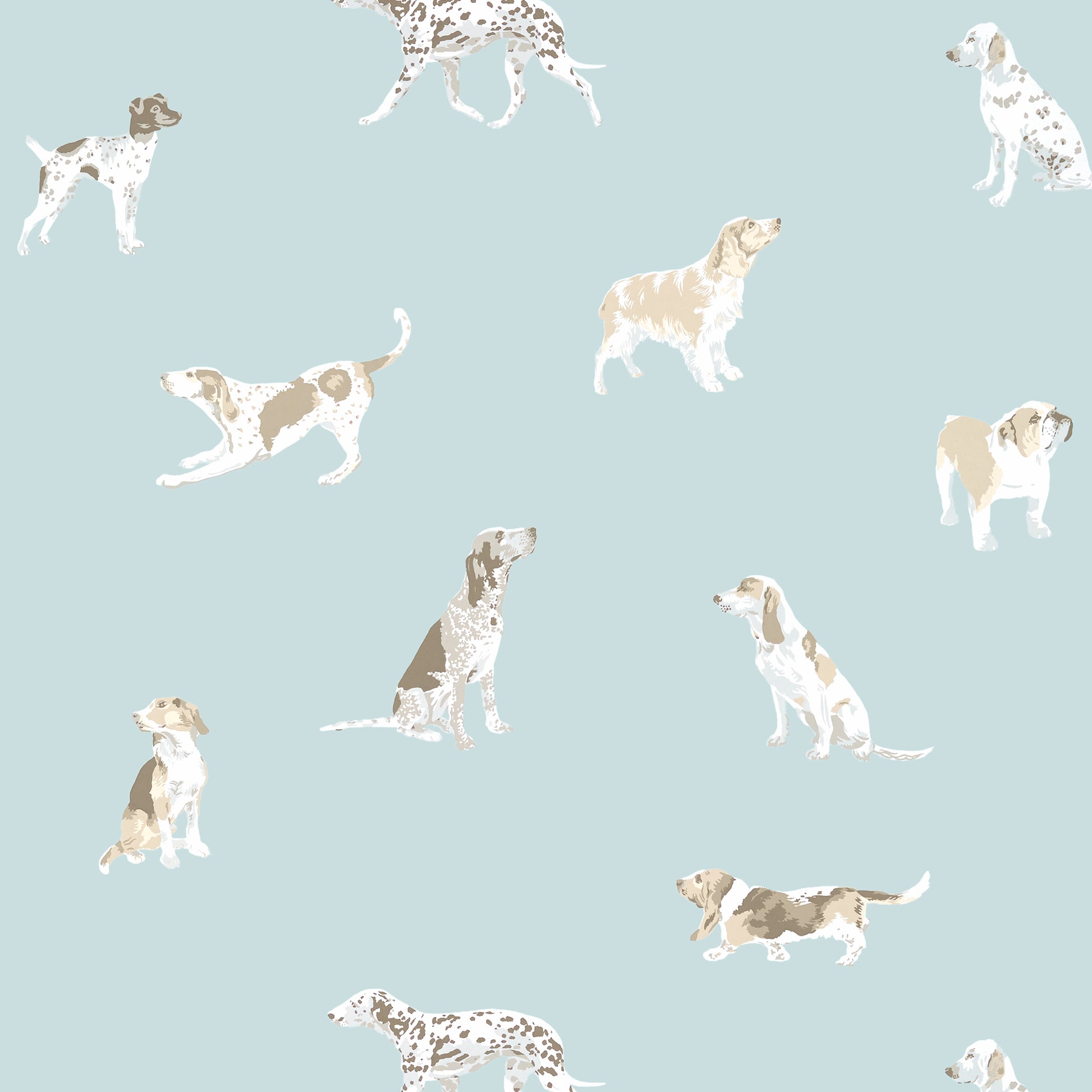 Purchase  Ann French Wallpaper Item AT24603 pattern name  Buddy