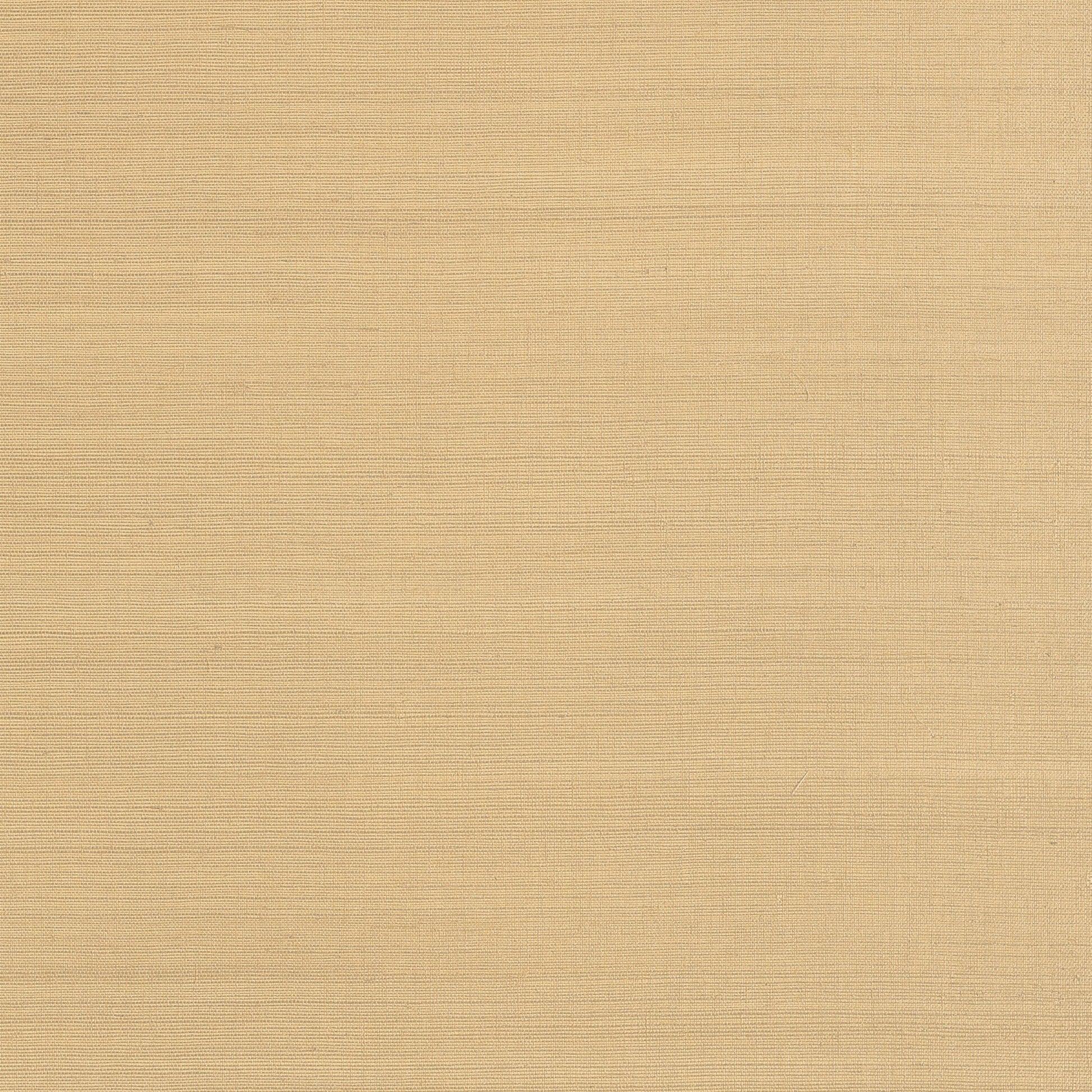 Purchase  Ann French Wallpaper Pattern AT34101 pattern name  Cholla Sisal