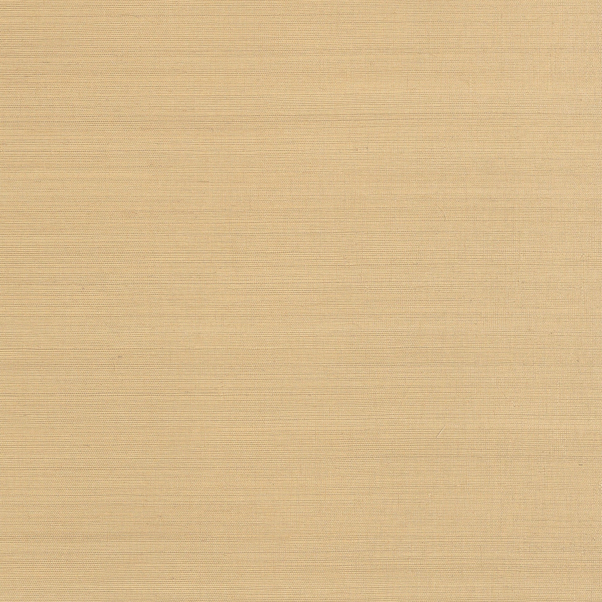 Purchase  Ann French Wallpaper Pattern AT34101 pattern name  Cholla Sisal