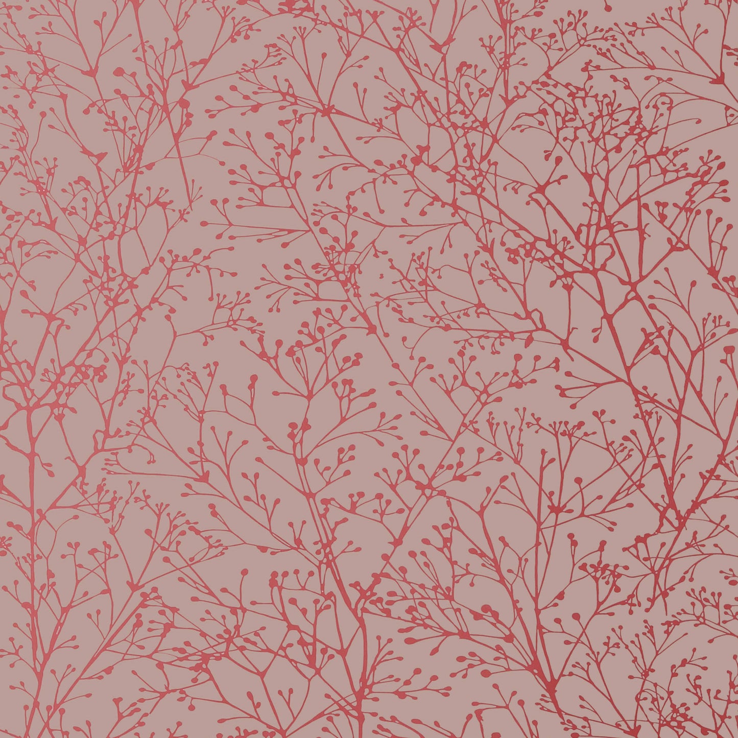 Purchase  Ann French Wallpaper Item# AT34123 pattern name  Zola