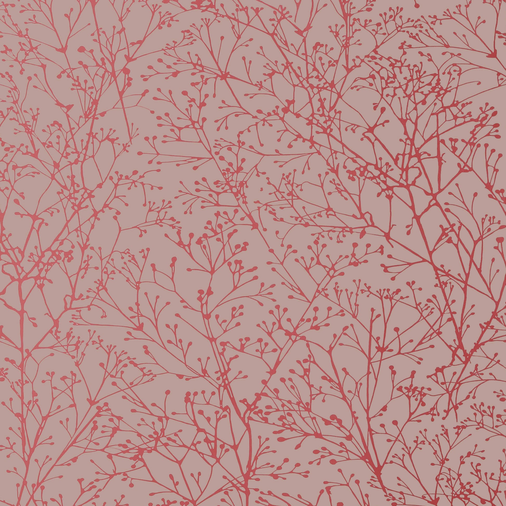 Purchase  Ann French Wallpaper Item# AT34123 pattern name  Zola