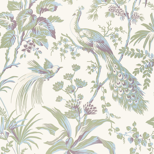 Search Anna French Wallpaper Pattern Number At57829 Pattern Name Peacock Toile From The Collection Bristol. 