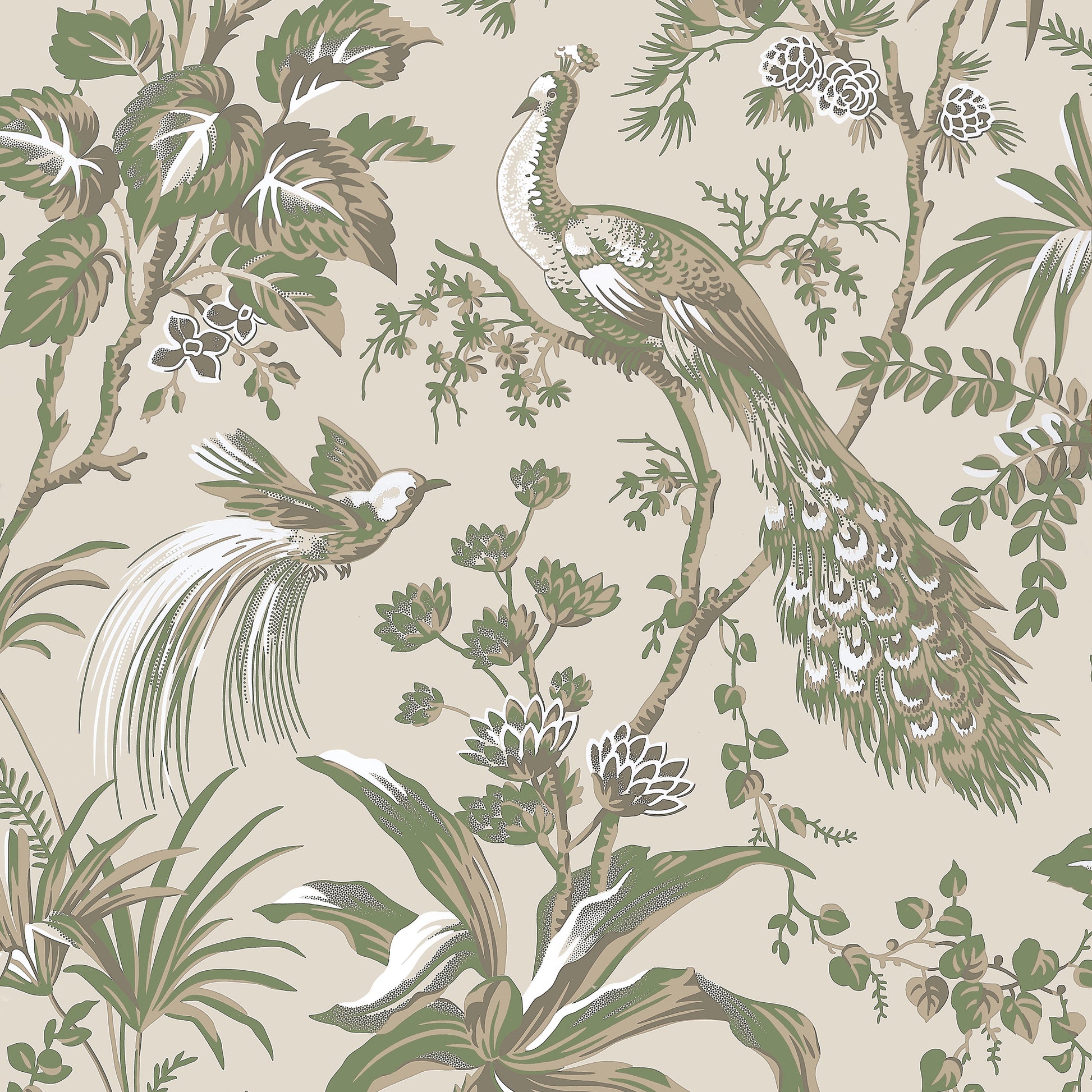 Order Anna French Wallpaper Pattern At57832 Pattern Name Peacock Toile From The Collection Bristol. 