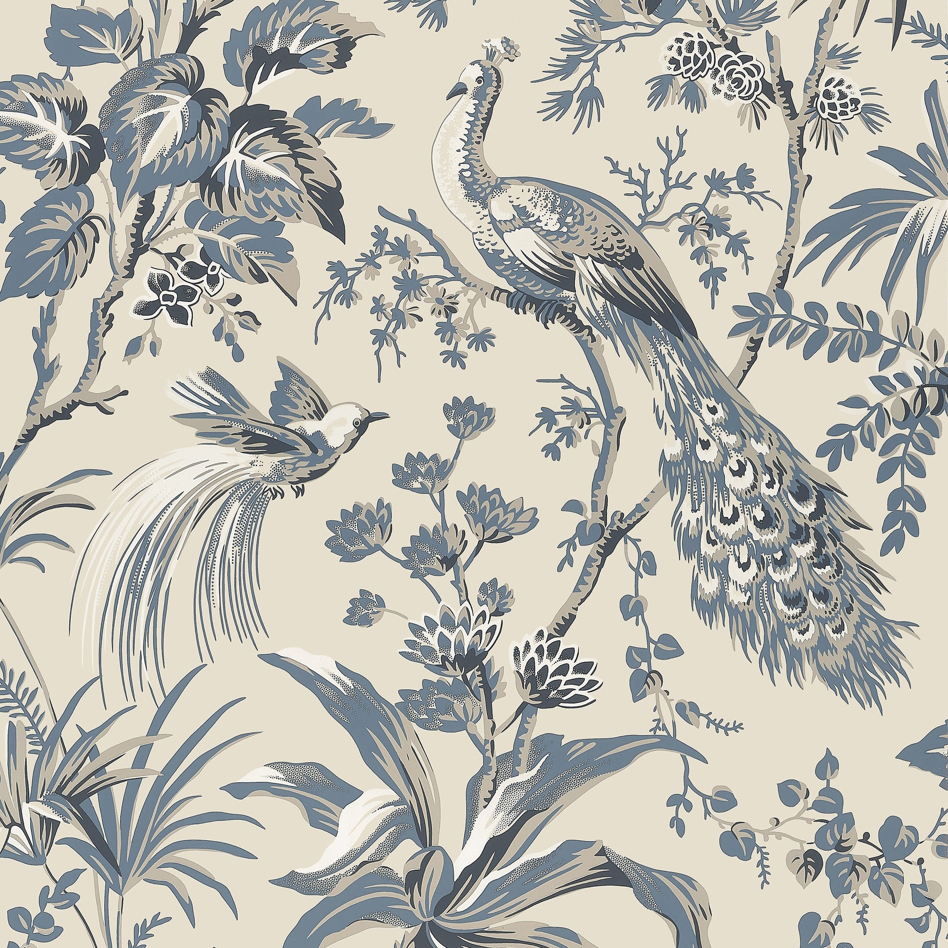 Looking For Anna French Wallpaper Sku At57833 Pattern Name Peacock Toile From The Collection Bristol. 