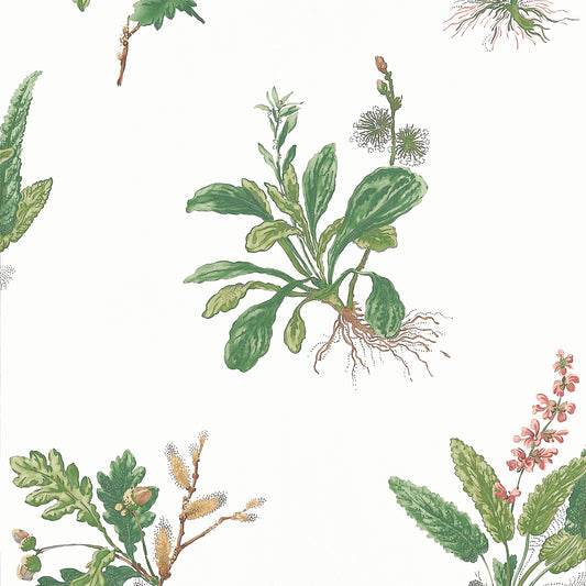 Select Anna French Wallpaper Sku At57852 Pattern Name Woodland From The Collection Bristol. 