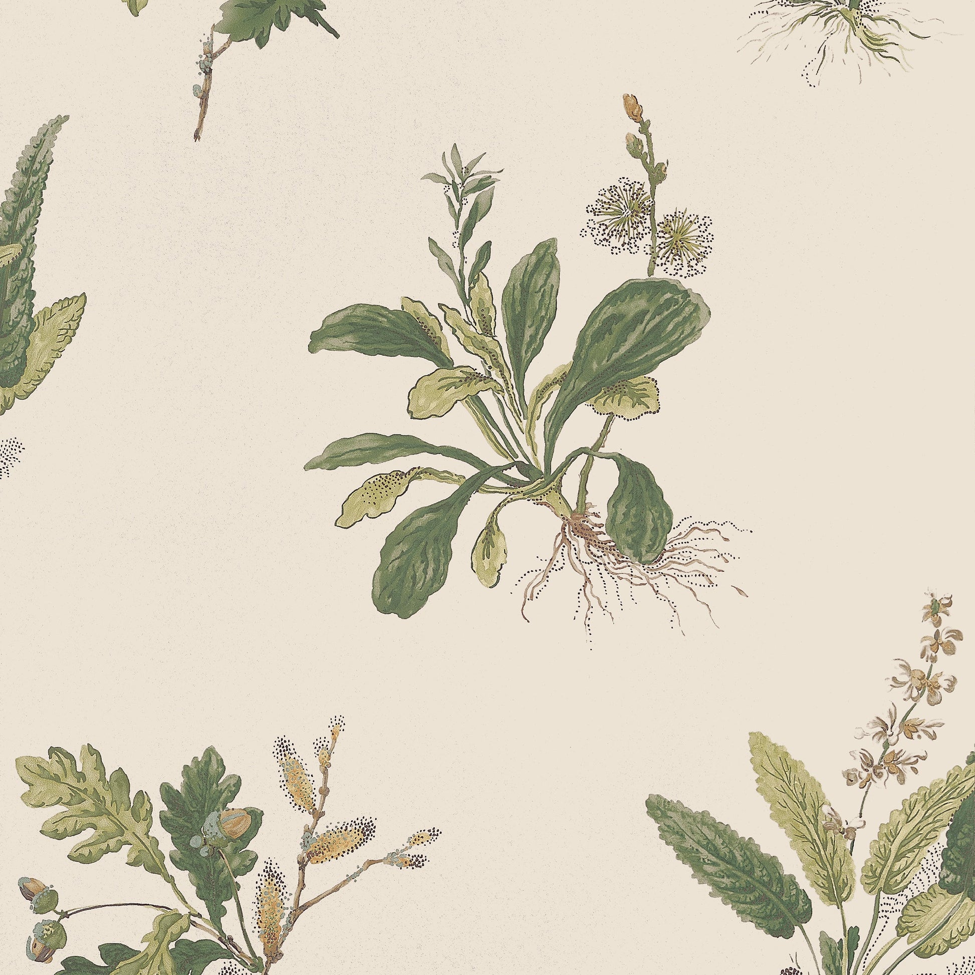 Shop Anna French Wallpaper Pattern# At57853 Pattern Name Woodland From The Collection Bristol. 