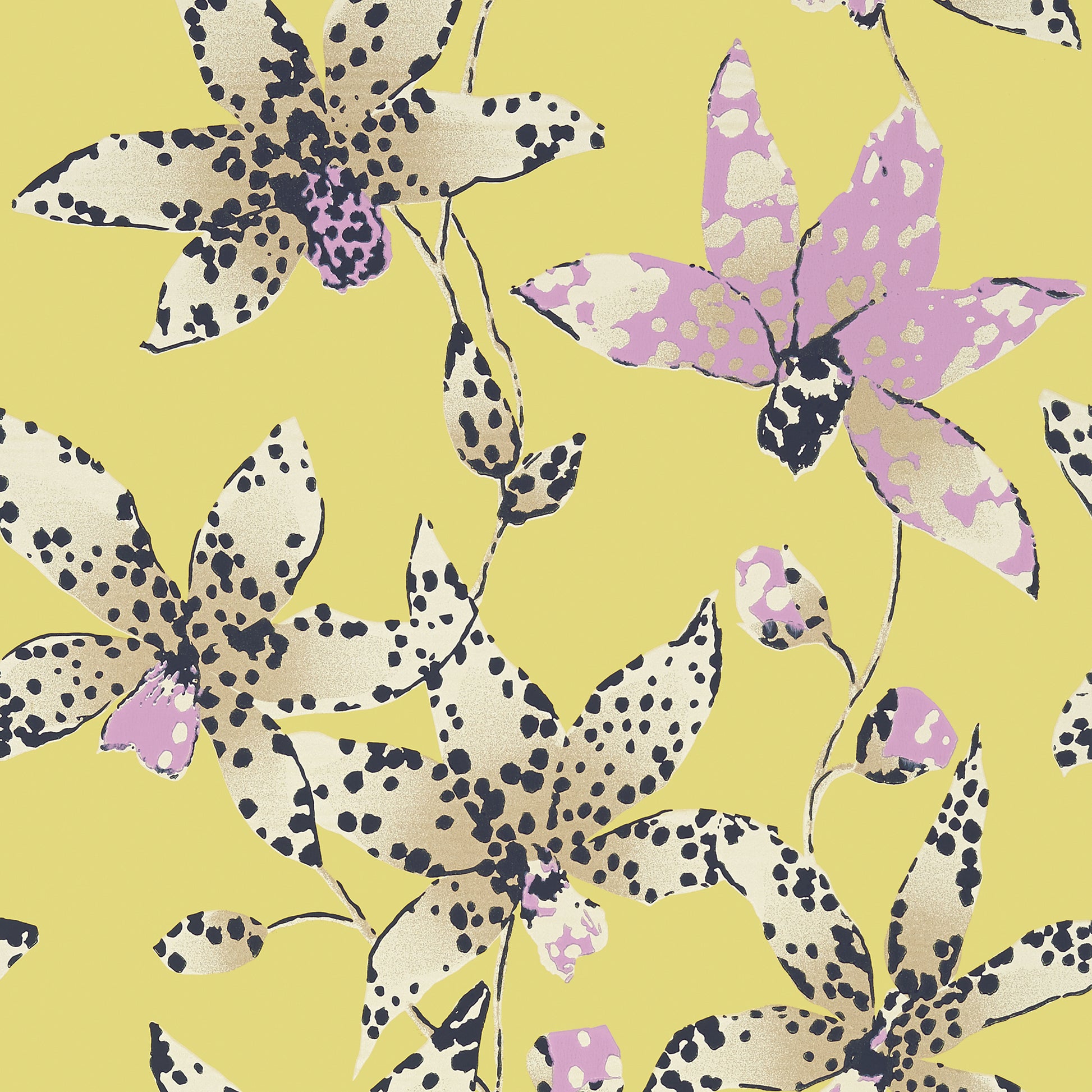 Purchase  Ann French Wallpaper Pattern# AT6046 pattern name  Spotted Orchid