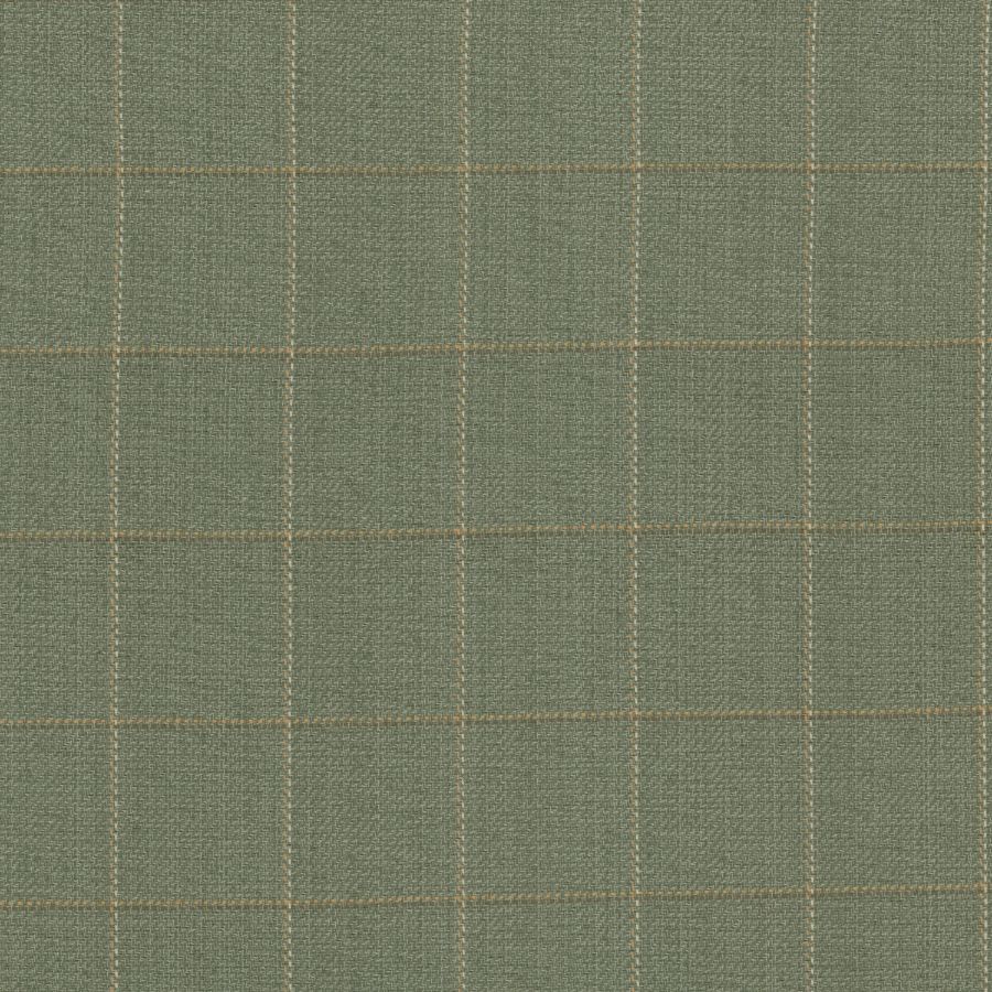 Purchase Stout Fabric Item# August 2 Dewkist